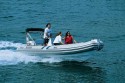 547 Rib