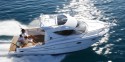 Dorado 26