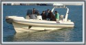 31 OPEN-CABIN SPORT