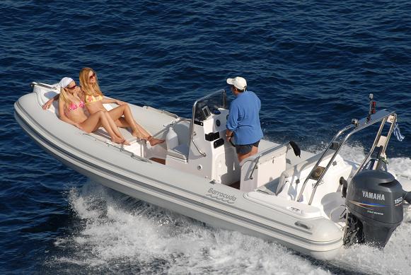 597 Rib